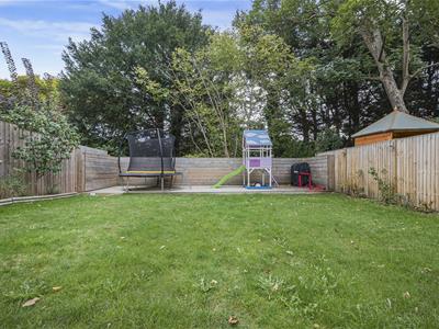 Picture 19